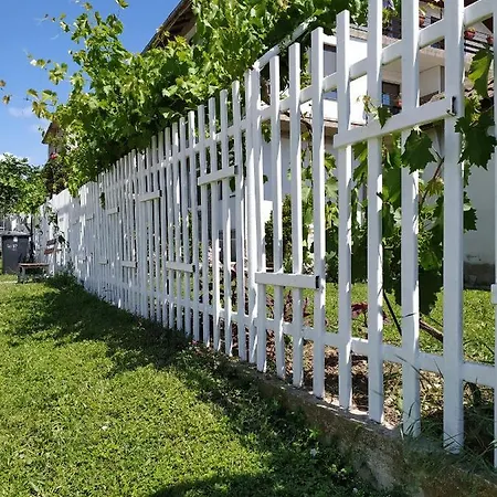Guest house Yanakievi Shkorpilovtsi